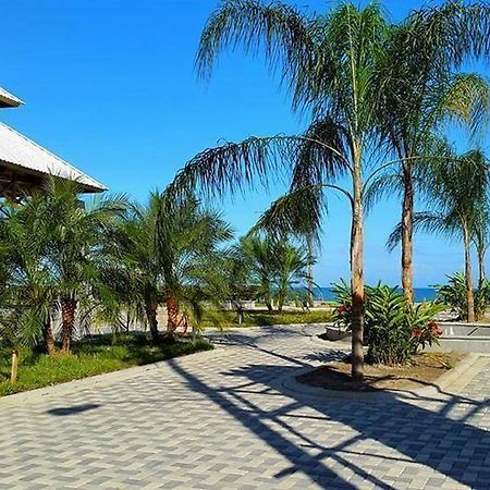 Uw Oasis Hotel La Ceiba Esterno foto